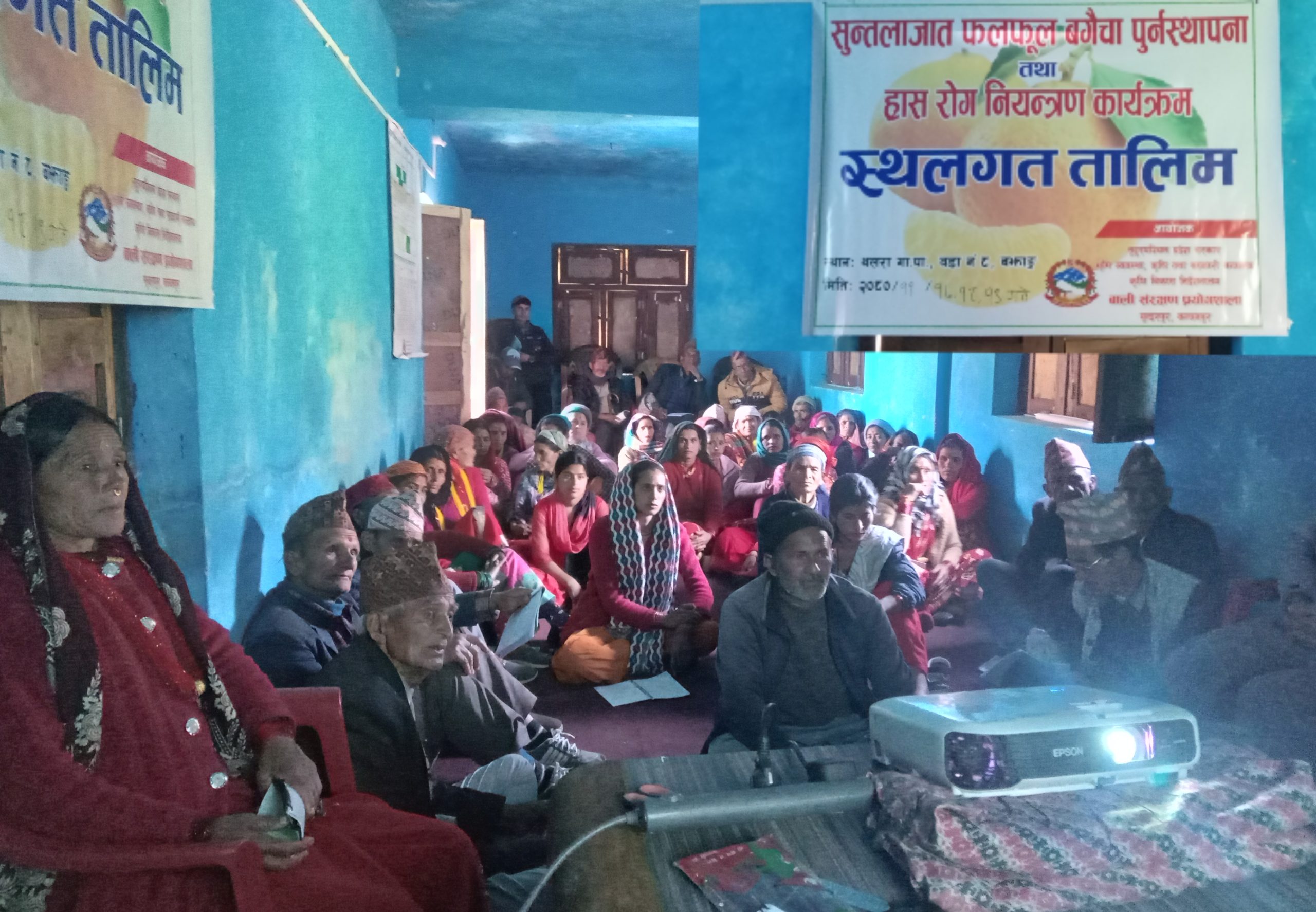 थलारा गाउँपालिका – ८ मा  सुन्तलाजात फलफूल बगैचा पुर्नस्थापना सम्बन्धि तालिम सुरु