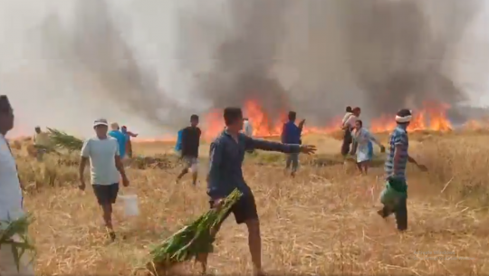 कैलालीमा आगलागीबाट  किसानको गहुँ खेतमै खरानी