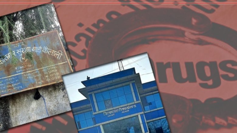 लागू औषधमा फँस्दै युवाहरु, कैलालीमा एकैदिन पाँच जना समातिए