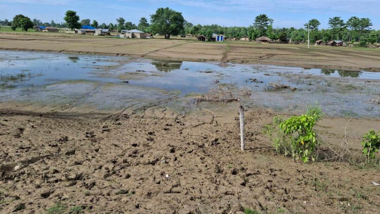 कञ्चनपुरको दोधरा चाँदनीका बाढी पीडितको बिचल्ली