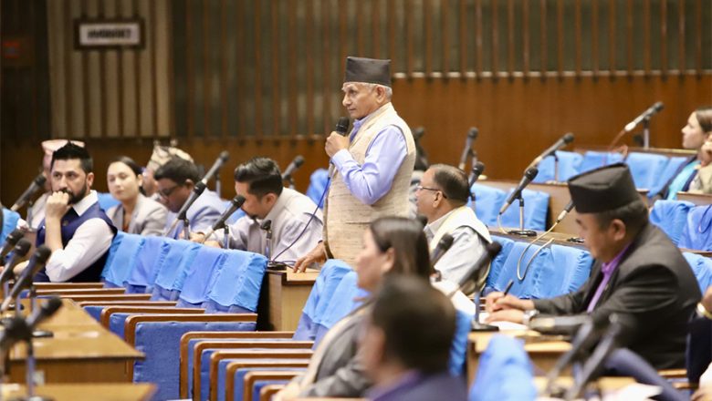 आफ्ना कुरा राखेर संसद अवरोध हटाउँछौं : हितराज पाण्डे
