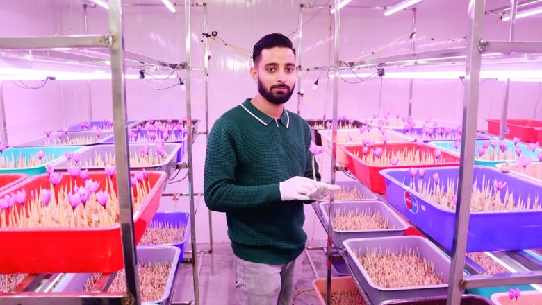 घरको छतमा कृत्रिम वातावरण बनाएर केशरखेती गर्दै विवेक