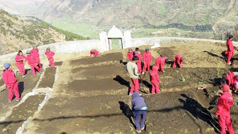 जीवनमा आइपर्ने बाधा अड्चनहरुलाई मध्यनजर गर्दै विद्यालयमै तरकारी उत्पादन गर्न सिकाउँदै