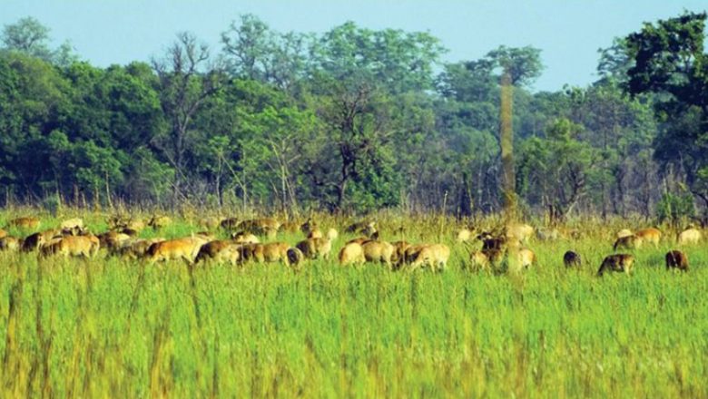 शुक्लाफाँटा राष्ट्रिय निकुञ्जमा पर्यटन महोत्सव सुरु, पर्यटकलाई ‘नेचर गाइड’ निःशुल्क
