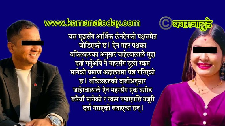 ऐन महरविरुद्धको मुद्दा प्रक्रिया पुर्याएर गर्न अदालतको आदेश, फैसला उनको पक्षमा हुने सम्भावना