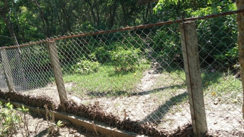 शुक्लाफाँटाका जङ्गली जनावर प्रभावित क्षेत्रमा तारजाली