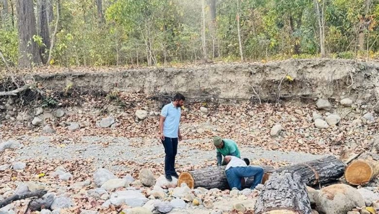 कैलालीमा साझेदारी वन कार्यान्वयनपछि स्थानीयले पाए रोजगारी