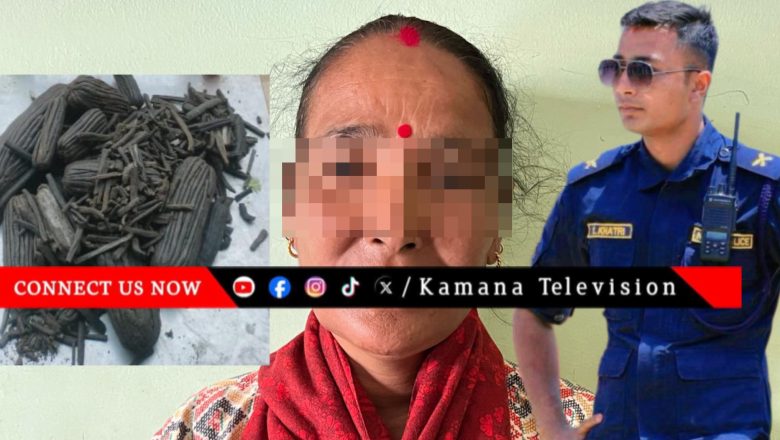 प्रहरी निरीक्षक खत्रीको नेतृत्वमा सफल अपरेशन : धनगढीमा लागुऔषधसहित एक महिला पक्राउ”