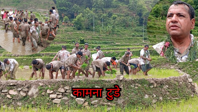 थलारा–१, रेगममा कृषि ज्ञान केन्द्र बझाङको आयोजनामा धान दिवस तथा रोपाईं महोत्सव भव्य रूपमा मनाइयो