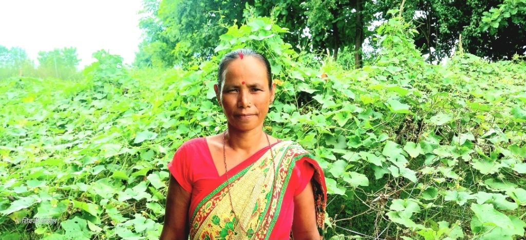 तरकारी खेतीबाट मनग्य आम्दानी, महिनामा ३५ देखि ५० हजार कमाउँछिन् रेनुकला