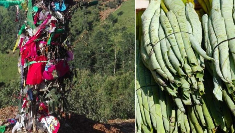 सुदूरपश्चिममा हर्षोल्लासका साथ ओल्के पर्व मनाइँदै