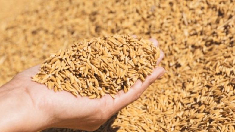 सरकारले तोकेको धानको मूल्य व्यापारीले कार्यान्वयन नगरे कारवाही गरिने