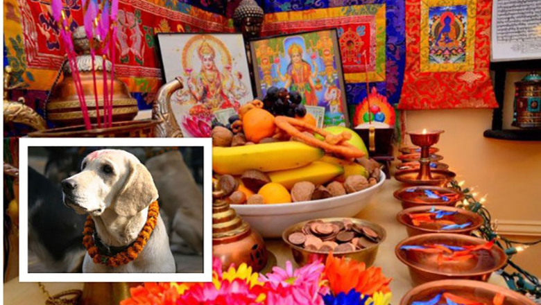 आज कुकुर तिहार, नरक चतुर्दशी र साँझ लक्ष्मीपूजा गरिँदै